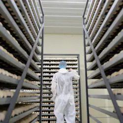 Infrastructure Development – Gomti Hatchery - Gallery 2